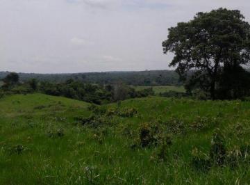 Rural , Pequizeiro · FAZENDA PECUÁRIA EM PIQUIZEIRO-TO
