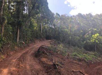 Foto 01 · Area, Linha Olinda, Nova Petrópolis, RS