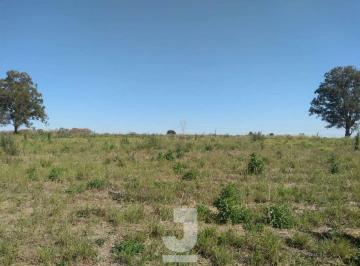 Terreno · 20000m² · Terreno à Venda - Campo Novo, Bragança Paulista - 20.000m2