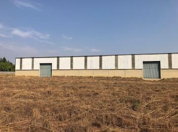 Comercial , Anápolis · Galpao em Anapolis
