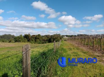 Comercial · 5ha · Área Industrial em Otavio Rocha