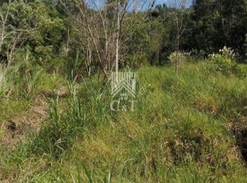 g1_3392_35808_1058_070722.jpeg · TERRENO 20.000M² A VENDA EM CAMBORIÚ