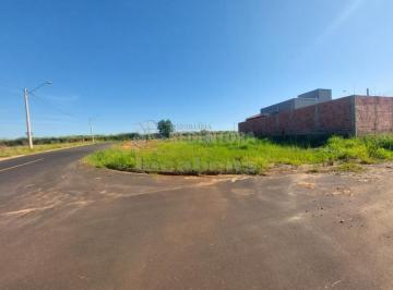 Terreno · 230m² · Bady Bassitt - Estrela do Oriente