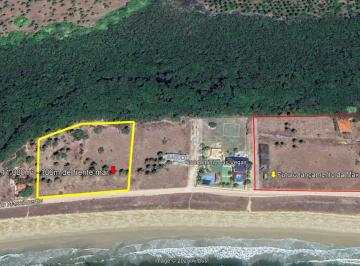 Terreno , Tamandaré · Tamandaré - Área com 11.000m² a Beira-mar (106m de Frente Mar)