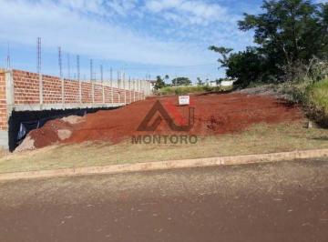 img0 · Terreno Lote em Araraquara