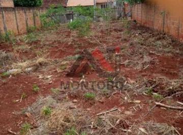 img0 · Terreno Lote em Araraquara