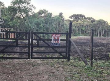 f7f1c7a681fe0c41a2b2066dd7eaa4fa87920056 · TERRENO CHÁCARA CAMPO LARGO INDUSTRIAL 18 MIL M2 ÓTIMA LOCALIZAÇÃO