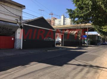 fa1e6854a061a396ef522b98e51e98ae.jpg · Galpao de 1250m²