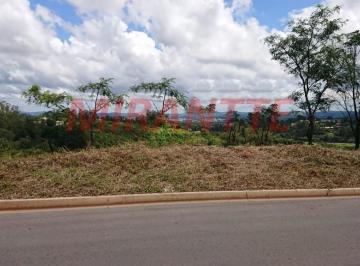 151ac129cfb5fd0c817e2813d4830010.jpg · Terreno