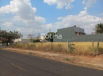 Terreno · 250m² · Terreno para alugar, Jardim das Palmeiras - Uberlândia/MG - Rotina Imobiliária