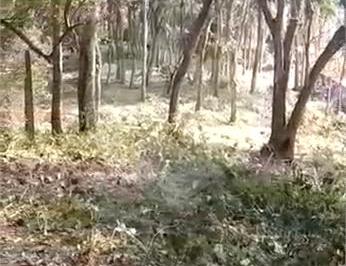 Área de Serviço · Terreno à venda em Luiz fagundes - SP