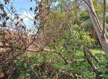 20201209115858546.jpg · Terreno para Venda em Natal, Ponta Negra