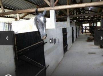 d556678195928cb1f75d3583d675af5e062ec4d6 · Sítio com estrutura de Haras com baías com 6 hectares em Barbacena a venda!