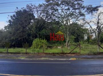 22627734_g.jpg · 
                                Terreno a venda no Bairro Figueira em Igrejinha
                   