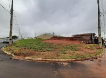 Foto · Terreno, Vila Motta, Catanduva, SP