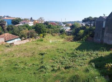 384678_i6b8q60ZjtcFPet86qbr_384678631fa72375131.jpg · TERRENO COM 4.000 m² na Av. Oscar Pereira