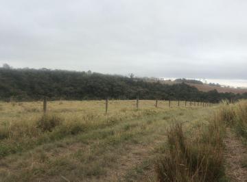 Foto 01 · Fazenda 59 Alqueires, Rico em Água com Córrego e Nascentes, Formada em Pasto na Pecuária, Terra Mist