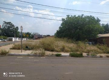 Foto 03 · Terreno Comercial ou Residencial no bairro Pascoal Ramos