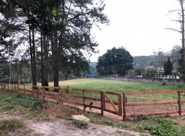 Comercial · 15000m² · Terreno com documento e escritura 15mil m2 Toda murada com 2 portões (1 de serviço e 1 automático so