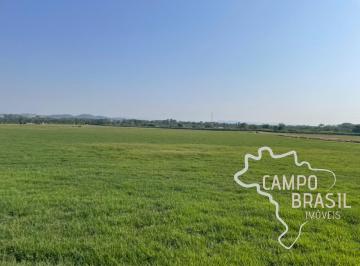 Foto 09 · FAZENDA 20 ALQUEIRES PLANA EM SÃO JOSÉ DOS CAMPOS!