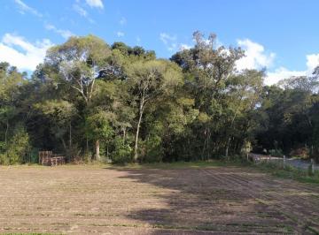 20240118185024609514.jpg · Terreno para Venda em São José dos Pinhais, Campo Largo da Roseira