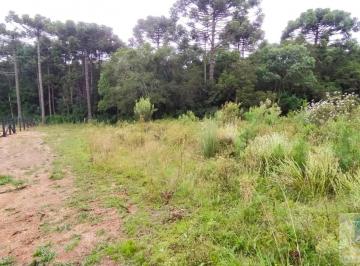 202603031613589298.jpeg · Terreno para Venda em São José dos Pinhais, Contenda