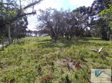 20221024151059594137.jpg · Terreno para Venda em São José dos Pinhais, Contenda, 1 dormitório