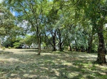 Terreno com Excelente topografia · Terreno à venda no Vale Verde em Valinhos.