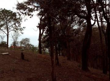 Excelente Lote Jd Estancia Brasil - Atibaia · Excelente Lote Jd Estancia