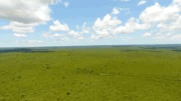 Rural , Santa Fé de Minas · FAZENDA - SANTA FÉ DE MINAS - MINAS GERAIS| CULTURA, 726 HECTARES, 100% PLANA