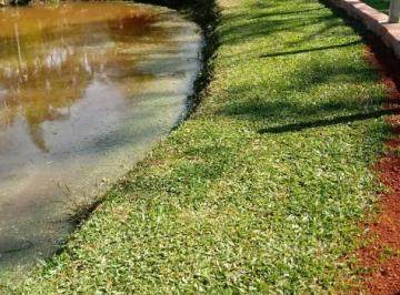 Rural · 5000m² · Rurais à venda - em Lomba Grande