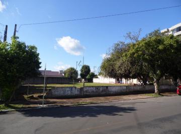 16083379_g.jpg ·
Excelente terreno