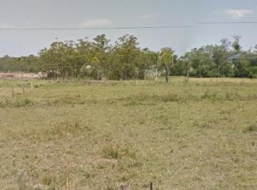 Rural · Rurais à venda - em Araricá