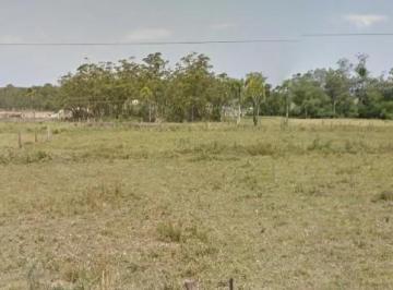 Rural · Rurais à venda - em Araricá