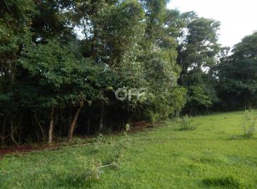 0 · área à venda em Jardim Novo II
