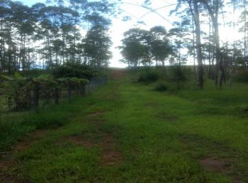 Foto 01 · Terreno com 20.496,40 m² em área rural localizado no bairro Saint James I.em Campo Limpo Paulista, S