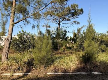 Terreno · 300m² · Terreno na Praia de Atlântida Sul