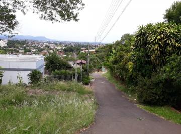 22374098_g.jpg ·
TERRENO RONDONIA