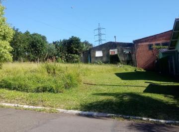 18123479_g.jpg · Imoveis - em Campo Bom