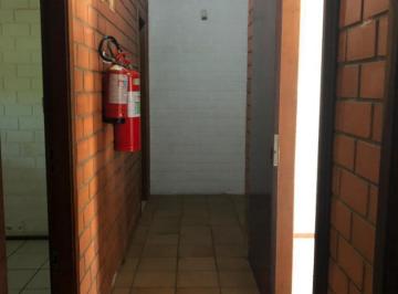 13997113_g.jpg · 
                                Sala comercial na Avenida Pedro Adams Filho
                       