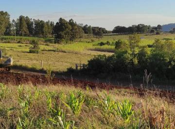 21942341_g.jpg ·
Chacrinha em Alto Ribeirão