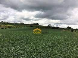 f9b041c6a2e47850a4f20546d32858e6b6f2d64d · 1000 HECTARES PLANTA 800 R$ 72.000.000,00
