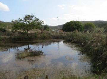 Foto 01 · Sítio - Taquaraçu de Minas