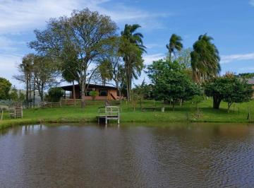 Rural de 3 quartos, Santo Antônio da Patrulha · Lindo Sitio com Casa em Santo Antônio da Patrulha/RS na Localidade de Catanduva