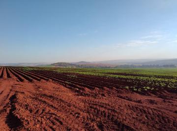 990a3fbecb8ec5812b97e74e45dbb7e8.jpg · FAZENDA À VENDA, 3230000 M² POR R$ 31.000.000 - CASA BRANCA/SP