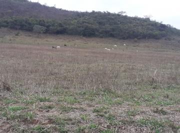 Foto 01 · Fazenda 190 Alqueires, Rica em Água com 9 Nascentes, 100 Alqueires em Pasto, 70 Alqueires em Milho o