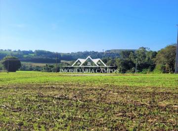 Rural · 25000m² · 1 Quarto · Chácara à venda, Vila Nova, TOLEDO - PR