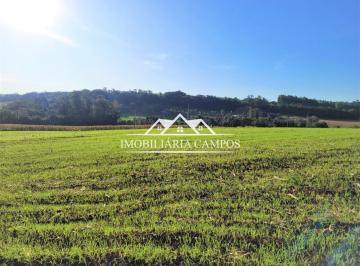 Rural · 25000m² · 1 Quarto · Chácara à venda, Vila Nova, TOLEDO - PR