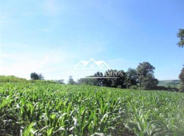 Rural · 27213m² · 3 Quartos · SÍTIO  DISTRITO VILA NOVA - TOLEDO-PR
