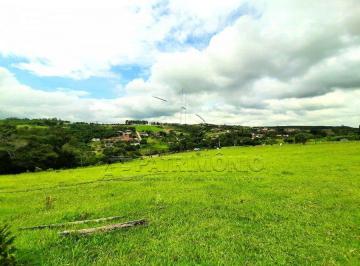 82174_i1460j72v6033425_82174633de40241c81.jpg · TERRENO, Bairro Morros